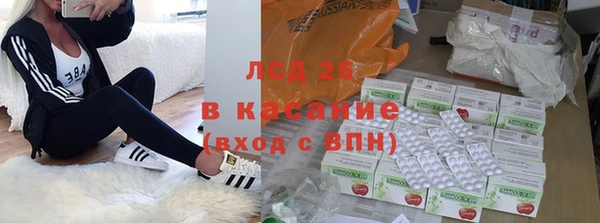 сатива Аркадак