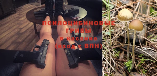 а пвп мука Арсеньев