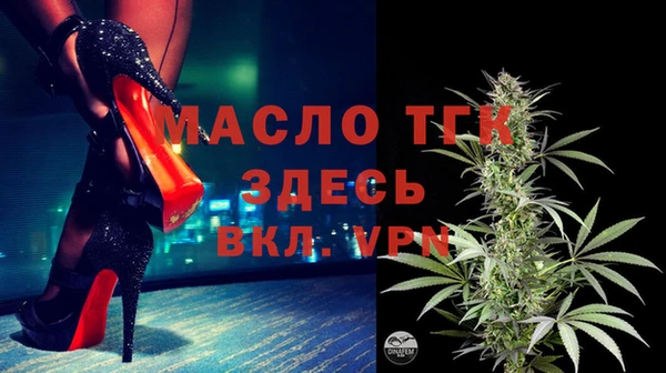 сатива Аркадак