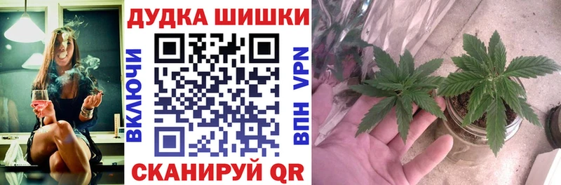 Марихуана OG Kush  МЕГА ссылка  Пудож 